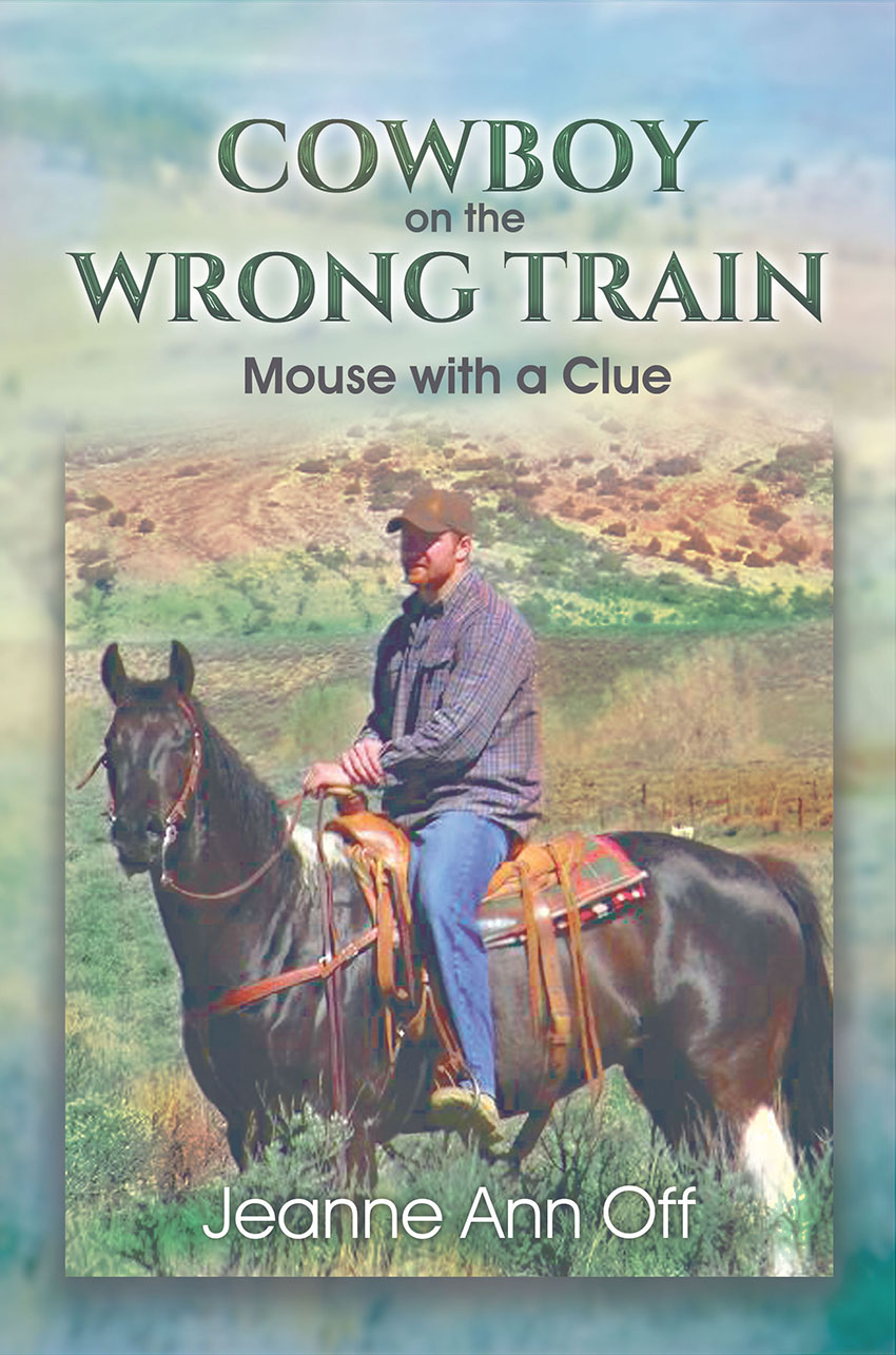 COWBOY on the WRONG TRAIN: Mouse with a Clue - LitFire
